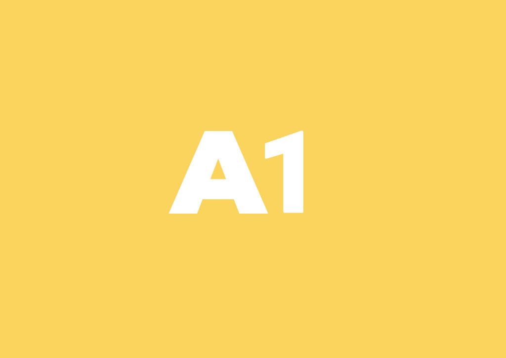 A1
